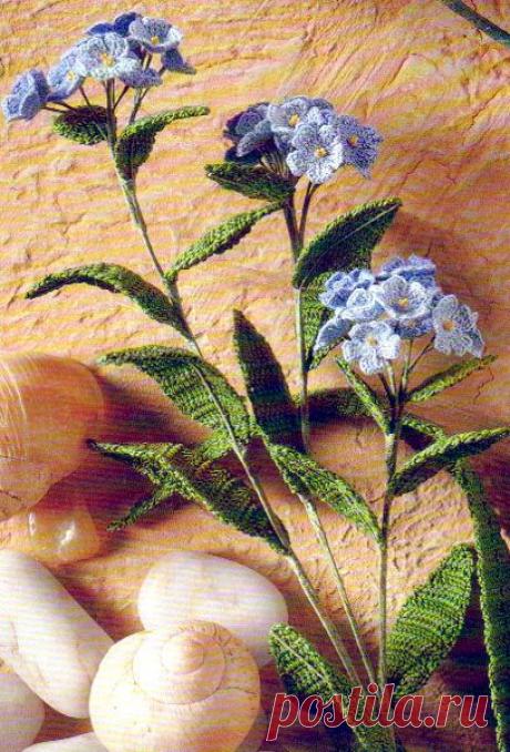 дикие гвоздики