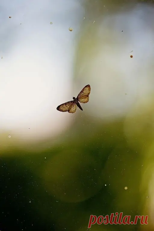 Уют внутри дороже, чем любые соблазны временного удoвольствия. | Оля Суворова | Дзен