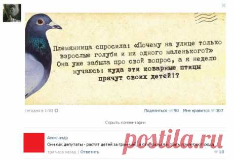 Потрясающая порция свежайших анекдотов на сегодня!.