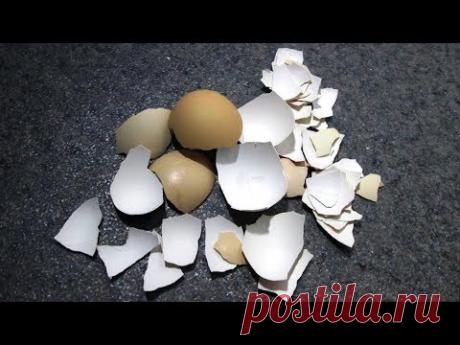 Как очистить яичную скорлупу и подготовить ее к декору