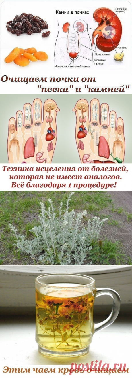 (49) Одноклассники