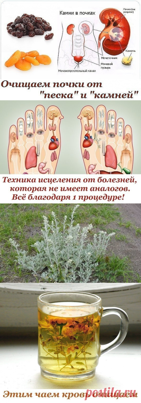 (49) Одноклассники