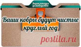 5 советов, следуя которым, ваши ковры будут чистые круглый год - Чтобы ковры в вашем доме выглядели свежими и чистыми, вам нужно соблюдать несколько несложных правил.  Например, любую разлитую жидкость с ковра необходимо убирать сразу же, а пылесос должен быть частью вашего обычного графика уборки в доме. Коврики могут действительно добавить уюта в декор вашей комнаты, но они та же виноваты в привлечении большого количества пыли …