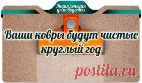 5 советов, следуя которым, ваши ковры будут чистые круглый год - Чтобы ковры в вашем доме выглядели свежими и чистыми, вам нужно соблюдать несколько несложных правил.  Например, любую разлитую жидкость с ковра необходимо убирать сразу же, а пылесос должен быть частью вашего обычного графика уборки в доме. Коврики могут действительно добавить уюта в декор вашей комнаты, но они та же виноваты в привлечении большого количества пыли …