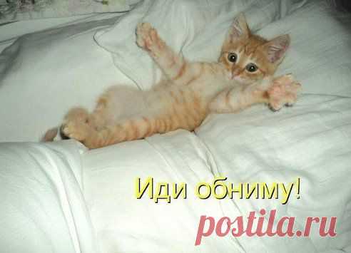 Обнималкин!!!!!