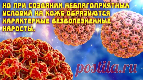Хозяйственное мыло от папиллом четыре рецепта!