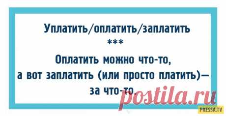 Слова, по которым легко определить уровень культуры