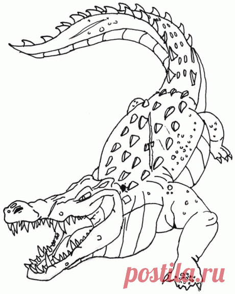 Крокодил раскраски распечатать