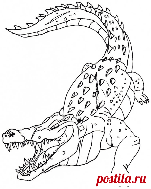 Крокодил раскраски распечатать