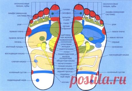 Почему нужно массировать стопы перед сном? | Хитрости жизни