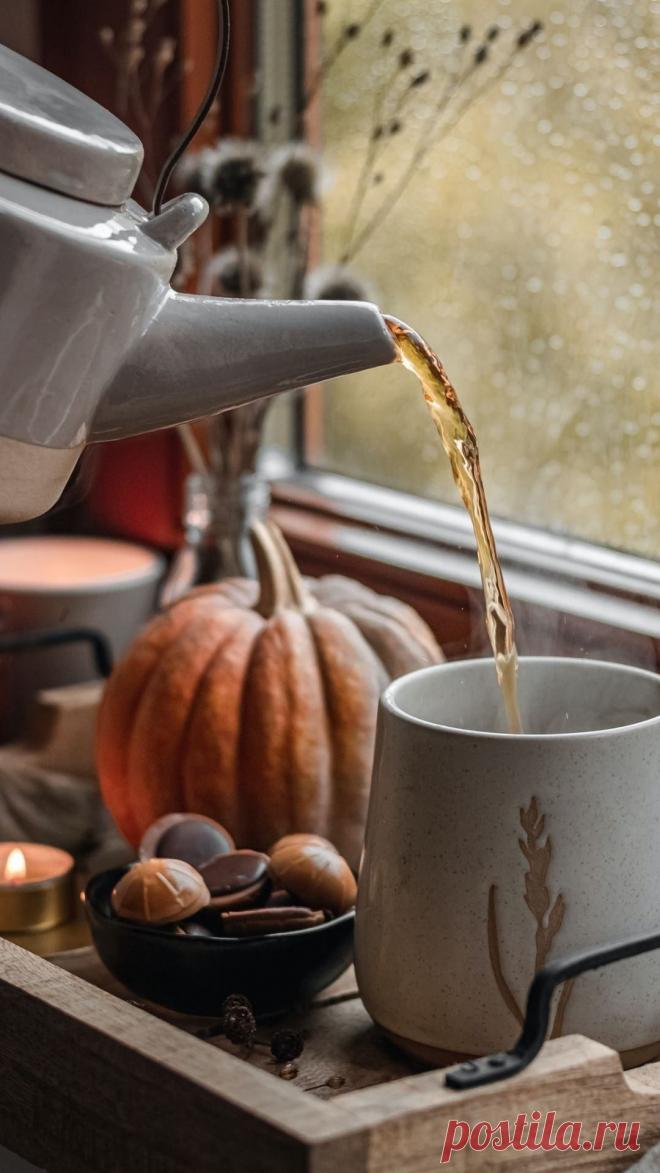 скачать в формате для сторис и публикаций, бесплатно. #фотодляинстаграм #осенниефотодляинста #instaautumn #instagram autumn2019 #autumno #autumnphotographer #photooftheday #autumninspiration #photoftheday #sunny #autumndays #sunnyday #septemberautumn
Просматривайте этот и другие пины на доске Осенние фото пользователя Iren_malina.