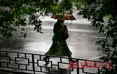 В Алтайском крае ввели режим ЧС из-за обильных осадков. Дожди осложнили ход уборочной кампании