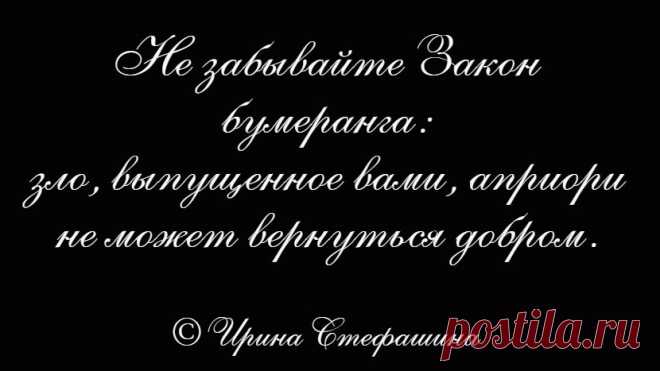 Жизненные фразы от Ирины Стефашиной. ч. 3. | Поэт Ирина Стефашина | Яндекс Дзен