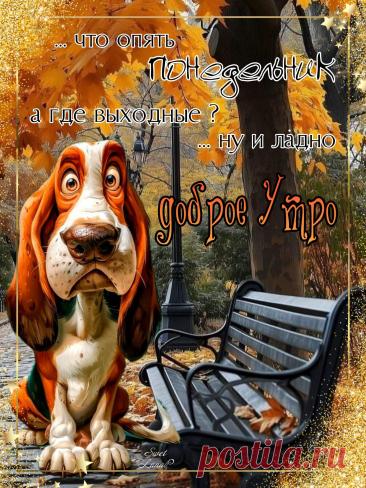 С добрым утром Привет Здрасте Добрый день