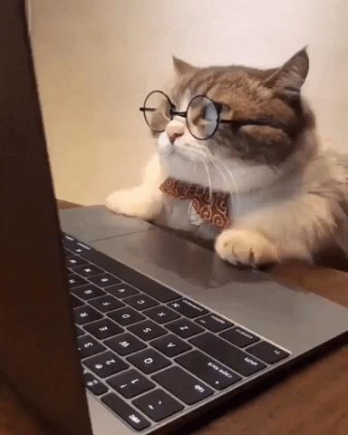 Mad The Internet GIF by moodman - Find & Share on GIPHY Discover & share this Reading Some Bs GIF with everyone you know. GIPHY is how you search, share, discover, and create GIFs.