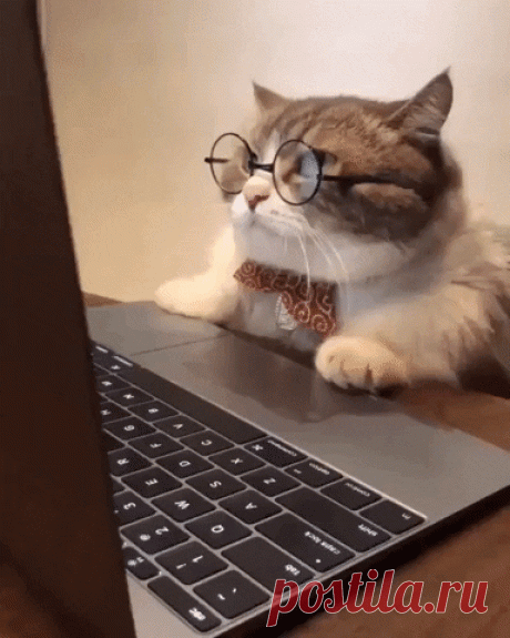 Mad The Internet GIF by moodman - Find & Share on GIPHY Discover & share this Reading Some Bs GIF with everyone you know. GIPHY is how you search, share, discover, and create GIFs.