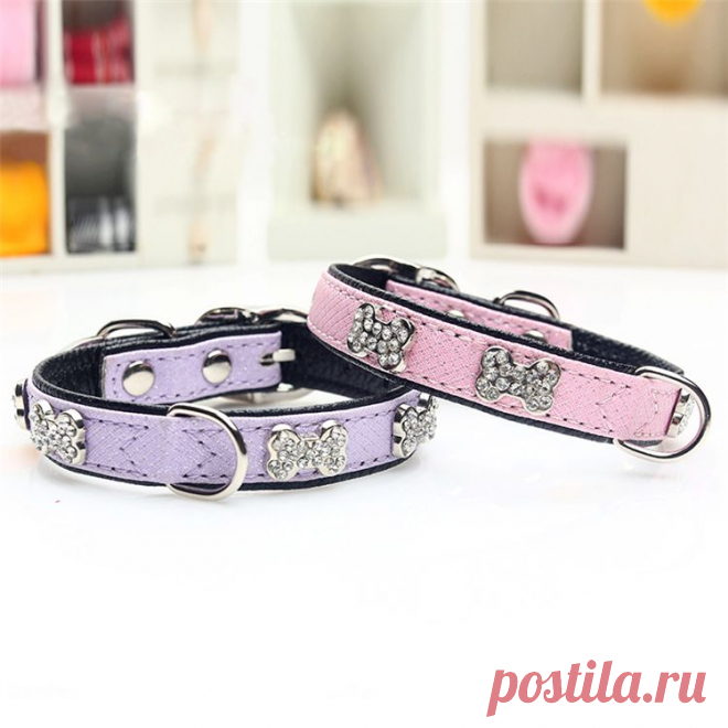 Купить ошейник для кошек и собак "дружок" по низкой цене