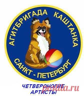Best-Q лучшие товары для собак и кошек