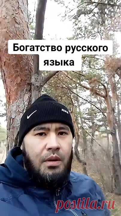 Вот за это  нас и кошмарят.
