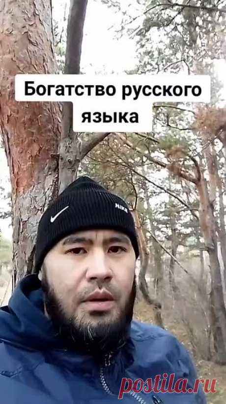 Вот за это  нас и кошмарят.