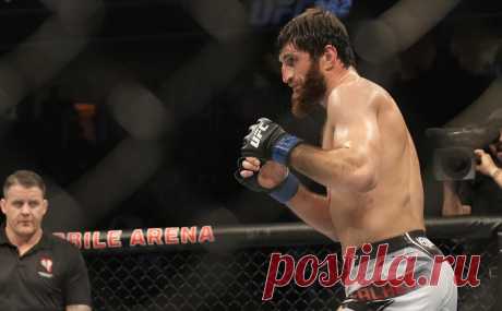 Россиянин Анкалаев одержал победу в главном бою турнира UFC. Магомед Анкалаев, бывший претендент на титул чемпиона UFC в полутяжелом весе, победил бразильца Джонни Уокера в бою-реванше