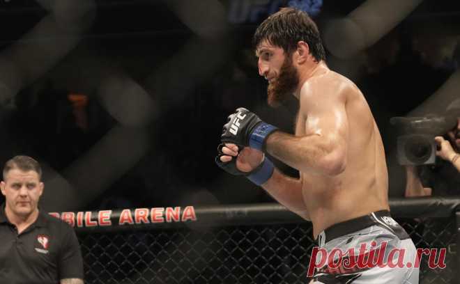 Россиянин Анкалаев одержал победу в главном бою турнира UFC. Магомед Анкалаев, бывший претендент на титул чемпиона UFC в полутяжелом весе, победил бразильца Джонни Уокера в бою-реванше