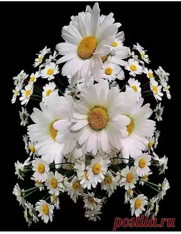 Google+