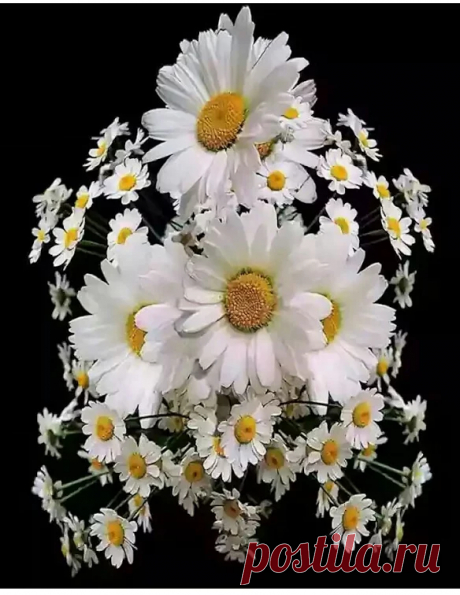 Google+