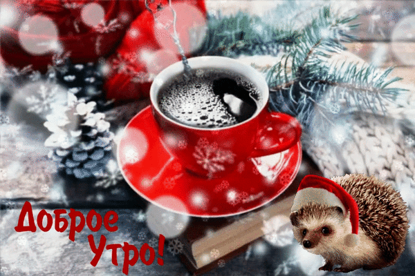 КОФЕЙНЫЙ ЁЖ-МОРОЗ!