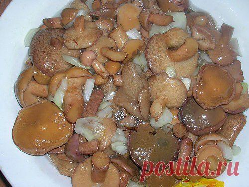 Консервируем маслята: маринованные и соленые грибы на зиму / Простые рецепты