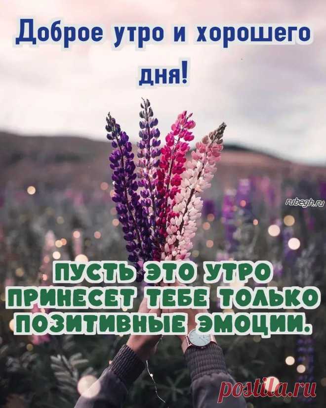 «Доброе утро свекор!»