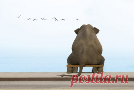 Афоризмы и цитаты 30 часть 1