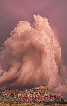 Pinterest