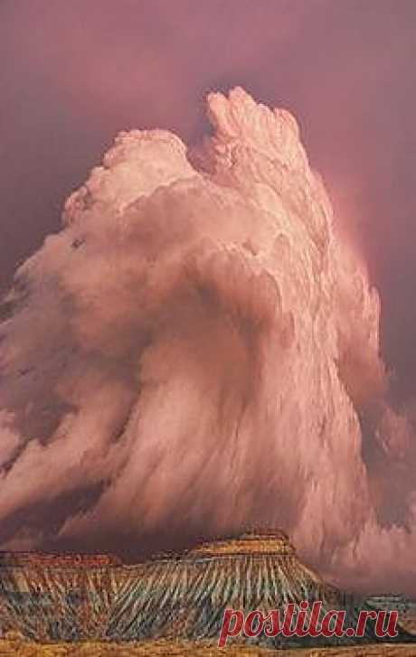 Pinterest