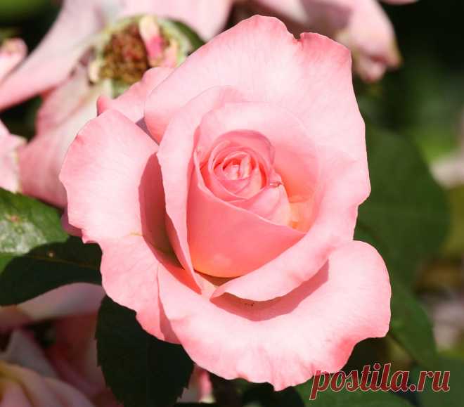 s-13934.jpg (2372×2080)