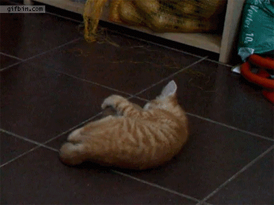 Попрыгунчик.