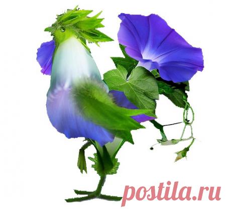 Интересные новости