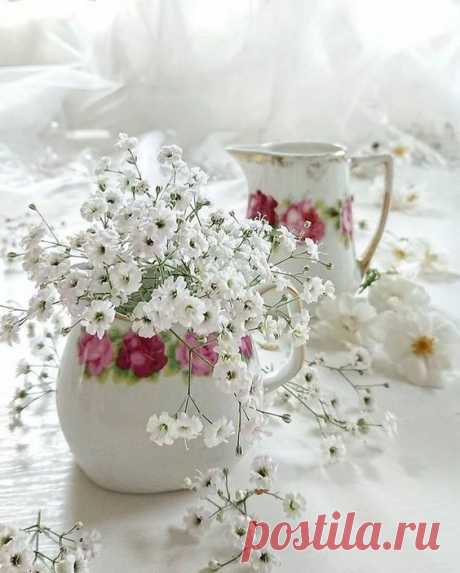 (41) Pinterest