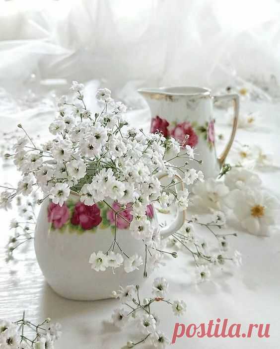 (41) Pinterest