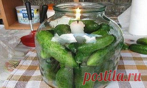 ВОЛШЕБНЫЙ СПОСОБ — СВЕЖИЕ ОГУРЦЫ ЗИМОЙ! Наткнулась сейчас на рецепт…Это ведь стратегический секретный способ. Без света, без консервантов….