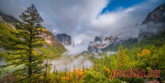 Обои: Йосемити, США, лес, облачно, Природа, Осень, осенние, америка, парк, Пейзаж, штаты