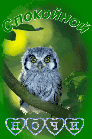 Спокойной  ночи