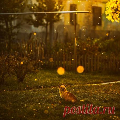 35PHOTO - Тарас Ганкевич - _