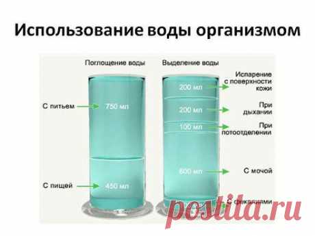 (3) Одноклассники