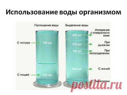 (3) Одноклассники