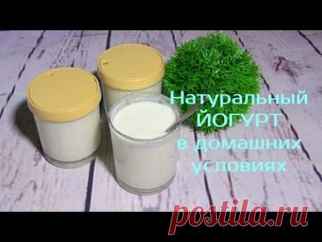 НАТУРАЛЬНЫЙ Йогурт своими руками в ДОМАШНИХ УСЛОВИЯХ/How to make yogurt - YouTube