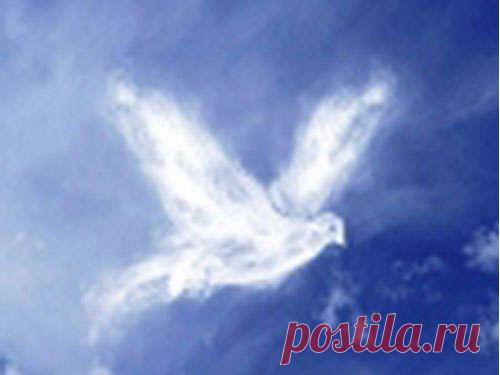 Духов день 20 июня 2016 года