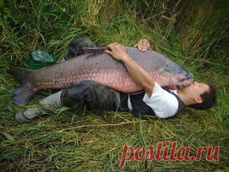 РЫБОНЬКА МОЯ .ДОЖДАЛСЯ Я ТЕБЯ .!