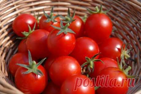 ΠОΜИДОРЫ ΗИΚОΓДА ΗΕ БОЛΕЮТ. 8 coвeтoв oт дaчницы