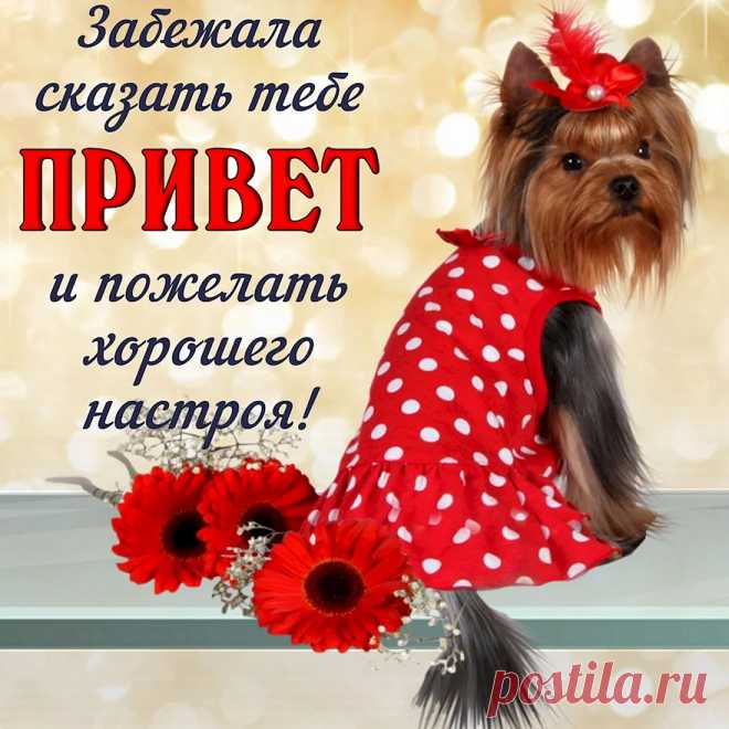 Открытки с приветствием и добрыми пожеланиями
Виды приветственных открыток

Основные категории открыток:

    Классические приветствия — универсальные пожелания

    Тематические открытки — по случаю события

    Дружеские послания — для близких людей

    Деловые приветствия — для коллег и партнёров

    Праздничные открытки — с особым поводом